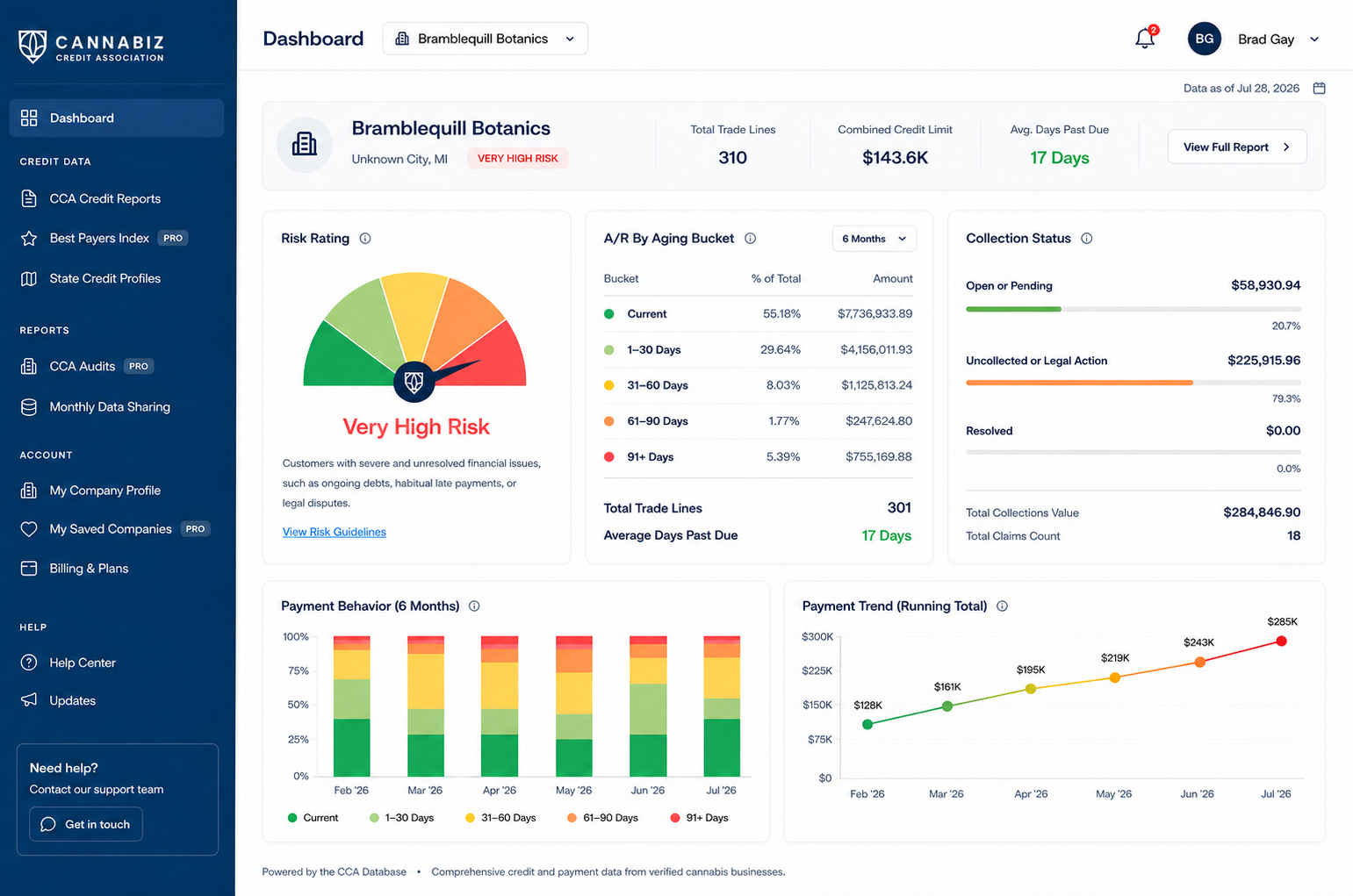 Example CCA dashboard for Bramblequill Botanics showing credit risk and payment behavior